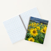 Blumen | Balsomroot Columbia River, Oregon Notizblock (Innenseite)