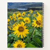 Blumen | Balsomroot Columbia River, Oregon Notizblock (Rückseite)