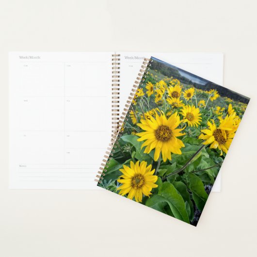 Blumen | Balsomroot Columbia River, Oregon Planer (Anzeige)