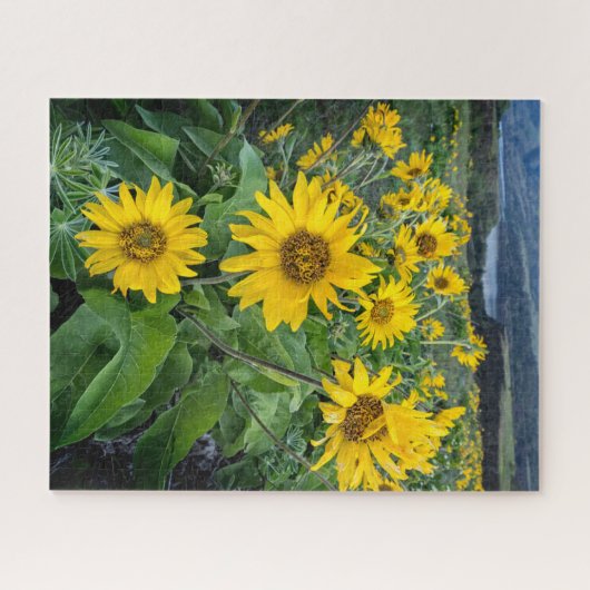 Blumen | Balsomroot Columbia River, Oregon Puzzle (Horizontal)