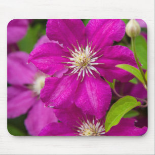 Blumen bei Robinette's Apple Haus and Gift Barn 2 Mousepad