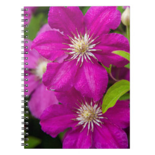 Blumen bei Robinette's Apple Haus und Geschenkstal Notizblock
