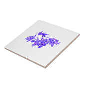 Blumen-Blau abgetönte Grundorchidee Fliese (Seite)