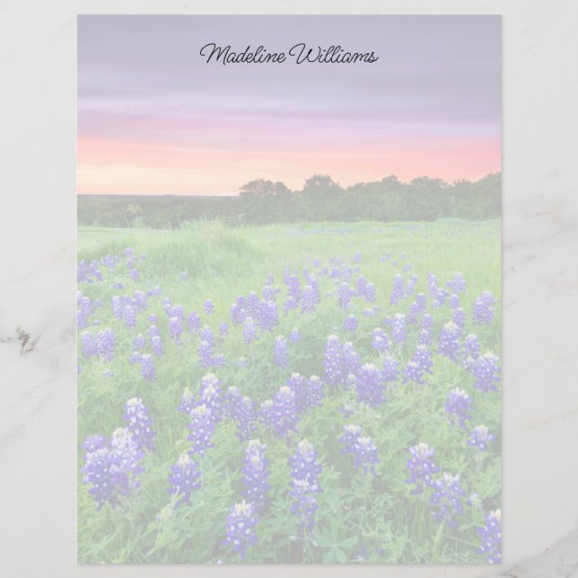 Blumen | Bluebonnets bei Sunset Texas (Vorderseite)