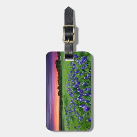 Blumen | Bluebonnets bei Sunset Texas Gepäckanhänger (Vorderseite vertikal)