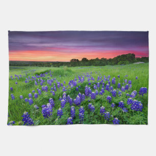 Blumen Bluebonnets bei Sunset Texas Geschirrtuch