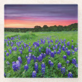 Blumen | Bluebonnets bei Sunset Texas Glasuntersetzer (Vorderseite)