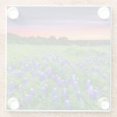 Blumen | Bluebonnets bei Sunset Texas Glasuntersetzer (Rückseite)
