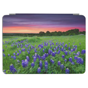 Blumen   Bluebonnets bei Sunset Texas iPad Air Hülle