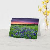 Blumen | Bluebonnets bei Sunset Texas Karte (Gelbe Blume)