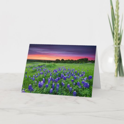 Blumen | Bluebonnets bei Sunset Texas Karte (Vorderseite)
