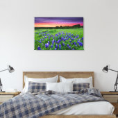 Blumen | Bluebonnets bei Sunset Texas Leinwanddruck (Insitu (Schlafzimmer))