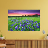 Blumen | Bluebonnets bei Sunset Texas Leinwanddruck (Insitu (Wohnzimmer))