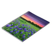 Blumen | Bluebonnets bei Sunset Texas Notizblock (Linke Seite)