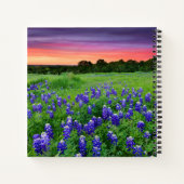 Blumen | Bluebonnets bei Sunset Texas Notizblock (Rückseite)