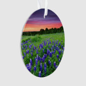 Blumen | Bluebonnets bei Sunset Texas Ornament (Vorderseite)