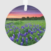 Blumen | Bluebonnets bei Sunset Texas Ornament (Rückseite)
