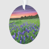 Blumen | Bluebonnets bei Sunset Texas Ornament (Vorderseite)