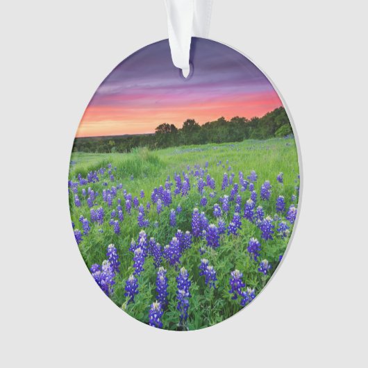 Blumen | Bluebonnets bei Sunset Texas Ornament (Vorderseite)