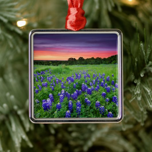 Blumen | Bluebonnets bei Sunset Texas Ornament Aus Metall (Baum)