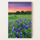 Blumen | Bluebonnets bei Sunset Texas Planer (Rückseite)