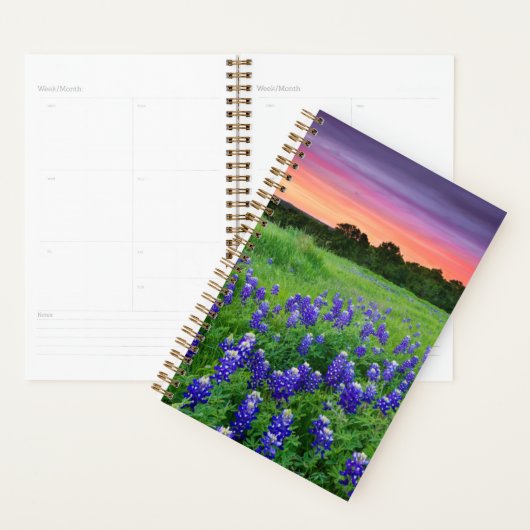 Blumen | Bluebonnets bei Sunset Texas Planer (Anzeige)
