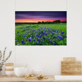 Blumen | Bluebonnets bei Sunset Texas Poster (Küche)