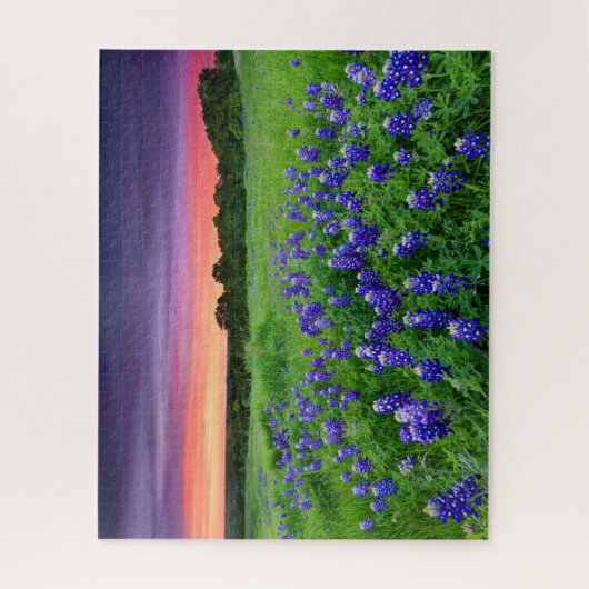 Blumen | Bluebonnets bei Sunset Texas Puzzle (Vertikal)