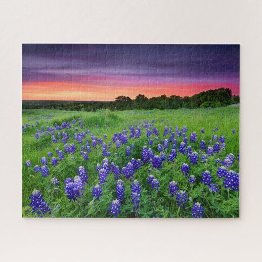 Blumen | Bluebonnets bei Sunset Texas Puzzle (Horizontal)