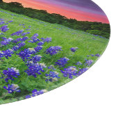 Blumen | Bluebonnets bei Sunset Texas Schneidebrett (Ecke)