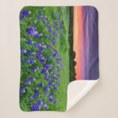 Blumen | Bluebonnets bei Sunset Texas Sherpadecke (Vorderseite)