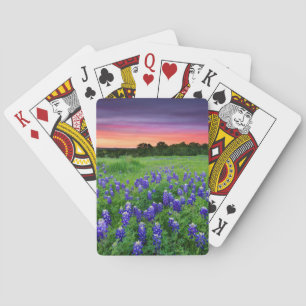 Blumen   Bluebonnets bei Sunset Texas Spielkarten