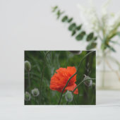 Blumen blühen postkarte (Stehend Vorderseite)