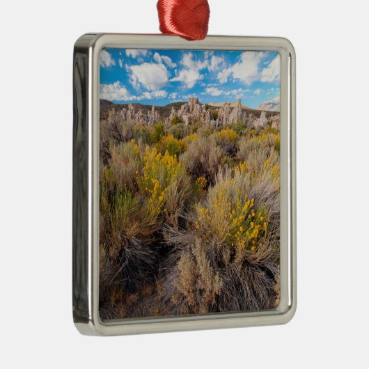 Blumen | Blühende Sagebrush Kalifornien Ornament Aus Metall (Rechts)