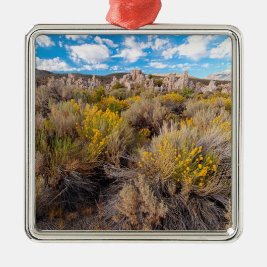 Blumen | Blühende Sagebrush Kalifornien Ornament Aus Metall (Vorne)