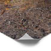 Blumen | Blühende Sagebrush Kalifornien Poster (Ecke)