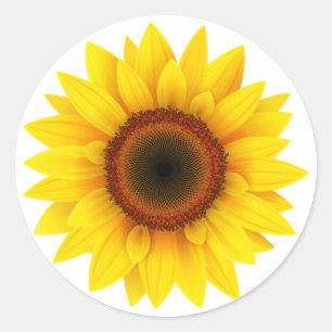 Blumen, Blume, Garten, Frauenfall, Sonnenblumen Runder Aufkleber