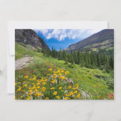 Blumen | Blume Montana Dankeskarte (Vorderseite)