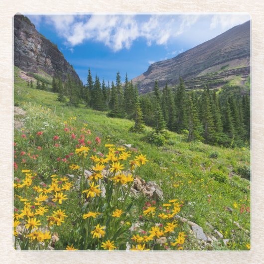 Blumen | Blume Montana Glasuntersetzer (Vorderseite)