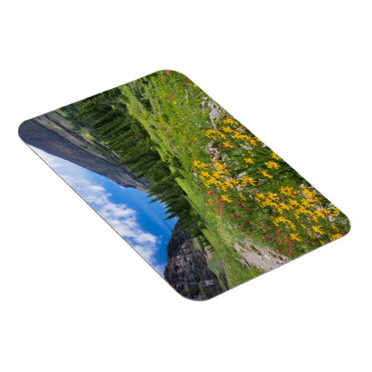 Blumen | Blume Montana Magnet (Rechte Seite)