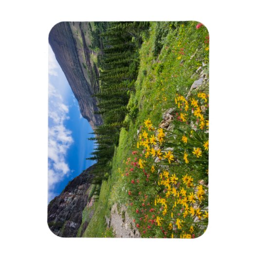 Blumen | Blume Montana Magnet (Vertikal)