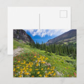 Blumen | Blume Montana Postkarte (Vorne/Hinten)