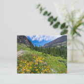 Blumen | Blume Montana Postkarte (Stehend Vorderseite)