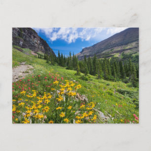 Blumen Blume Montana Postkarte