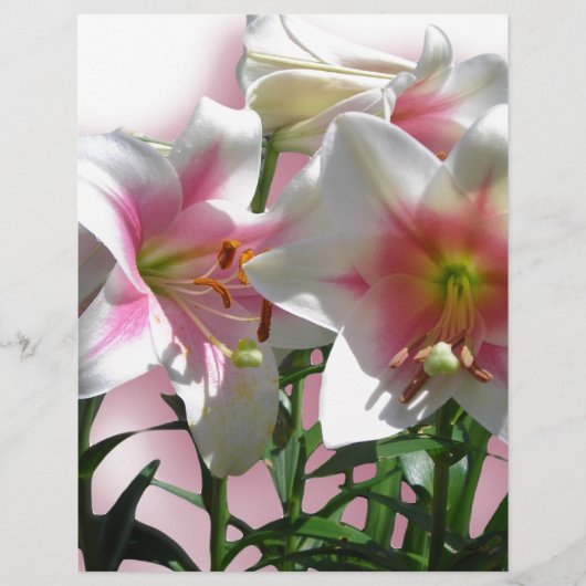 Blumen-Blüten-Frühlings-Garten-Liebe-Duschen-Party (Vorderseite)