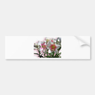 Blumen-Blüten-Frühlings-Garten-Liebe-Duschen-Party Autoaufkleber