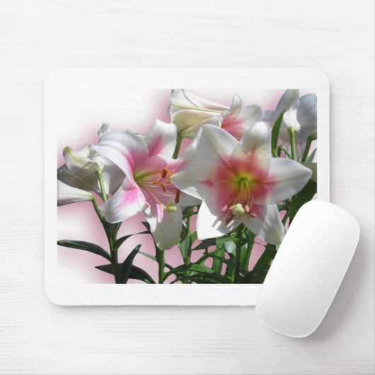 Blumen-Blüten-Frühlings-Garten-Liebe-Duschen-Party Mousepad (Mit Mouse)