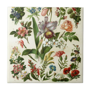 Blumen Botanicals Fliese