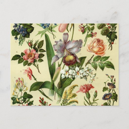 Blumen Botanicals Postkarte (Vorderseite)