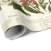Blumen Botanik Geschenkpapier (Rolleneckpunkt)